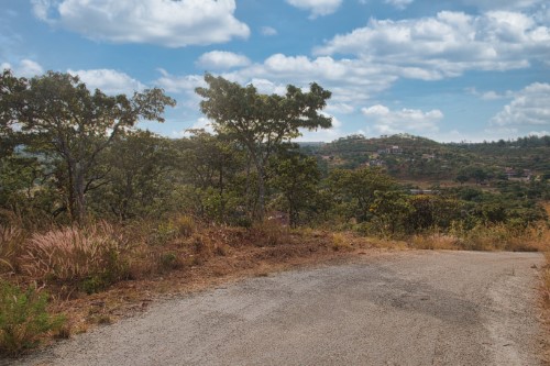 Carrick Creagh Stands